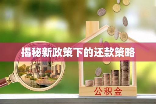 五莲揭秘新政策下的还款策略