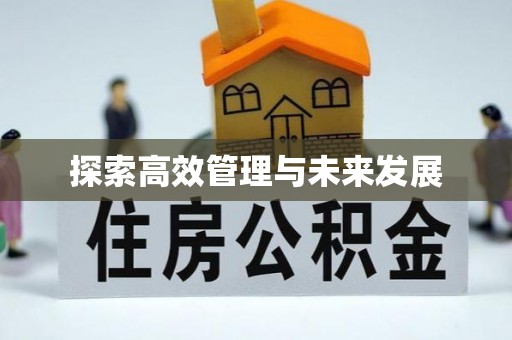五莲探索高效管理与未来发展