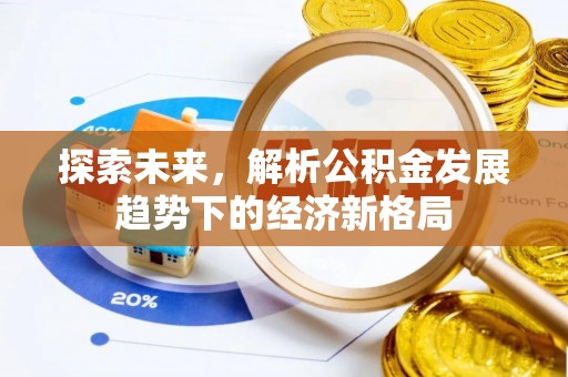 五莲探索未来，解析公积金发展趋势下的经济新格局