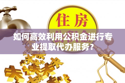 五莲如何高效利用公积金进行专业提取代办服务？