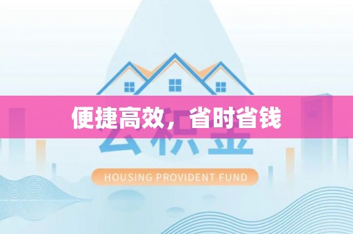 五莲便捷高效，省时省钱