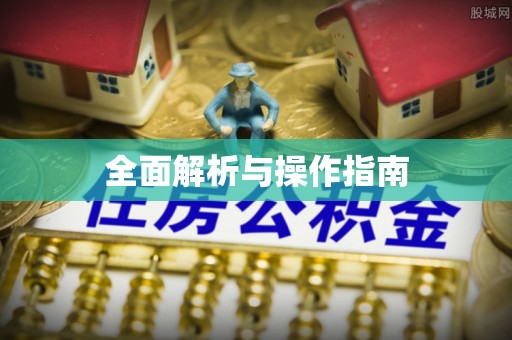 五莲全面解析与操作指南